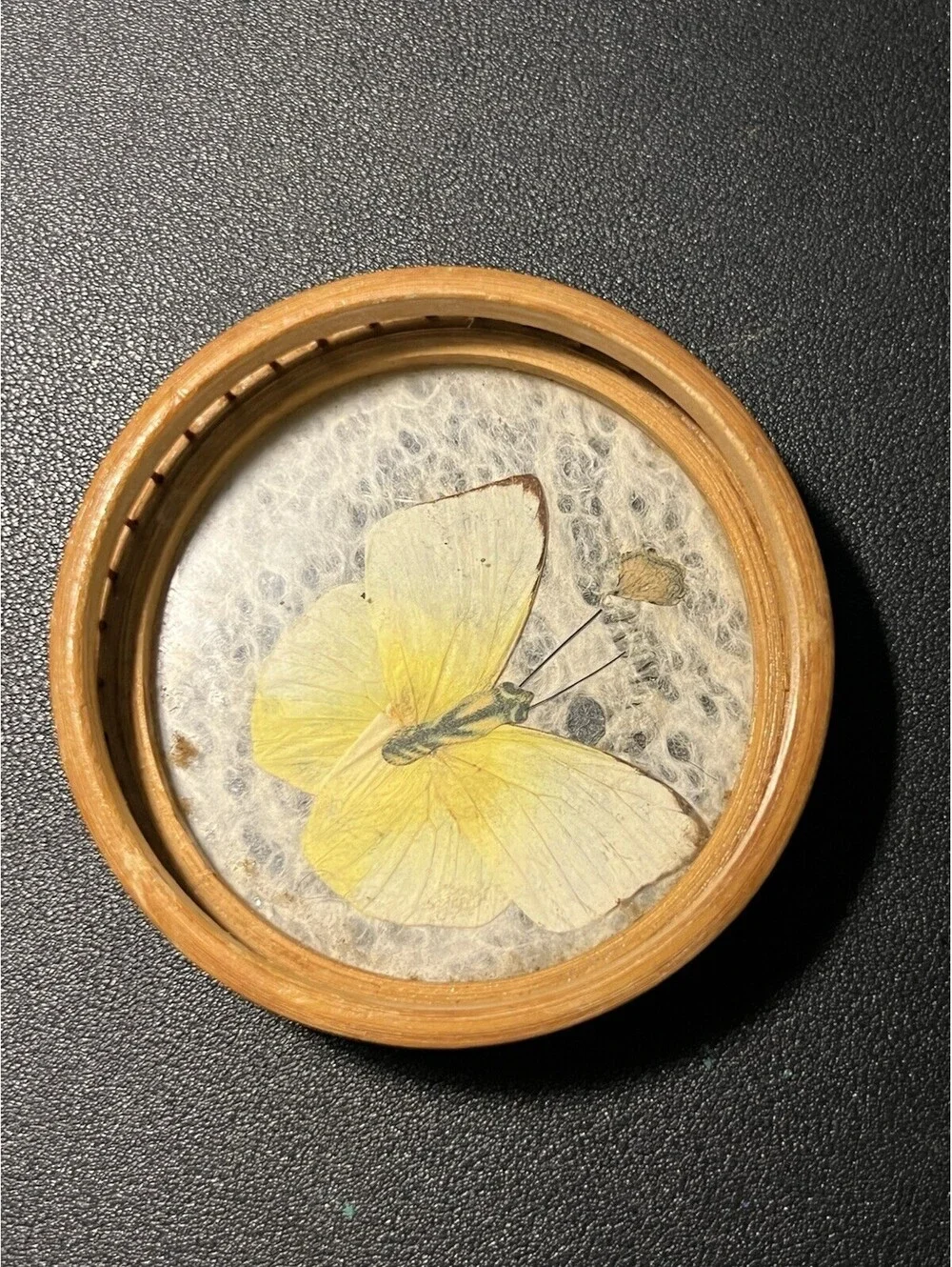 Japanese 1970s Set 5 Bamboo Pressed Butterfly Coasters & Serving Tray, 11x1.5”